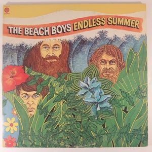 The Beach Boys - Endless Summer - Vinyl 2 LP Record
